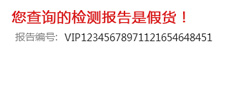 假报告样例图
